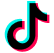 TikTok Logo Icon